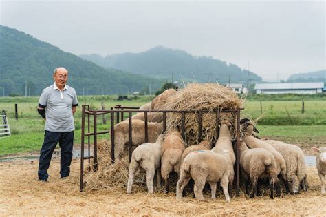 羊人|茶路めん羊牧場 